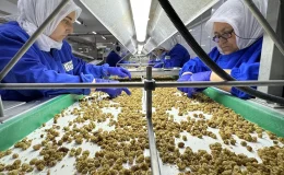 Türkiye’nin organik ürün ihracatı 1 milyar doları geçti
