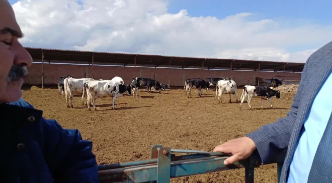 CHP Milletvekili Gürer, hayvancılıkta yaşanan sorunları gündeme getirdi