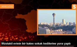 Ankara’da bir kadın, evini kedilere yuva yaparak 60 kedinin bakımını üstleniyor