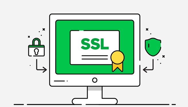 SSL Sertifikası