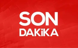Trabzonspor – Fenerbahçe Maçının Cezaları Açıklandı