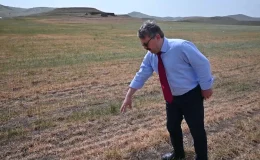 Yozgat’ta Kuraklık Nedeniyle Ekili Alanlarda Verim Kaybı Yaşanıyor
