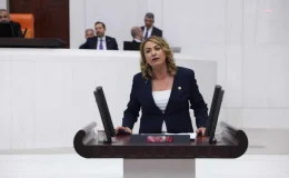 CHP Milletvekili, depremde kaybolan çocuklar için Meclis Araştırma Komisyonu kurulmasını talep etti